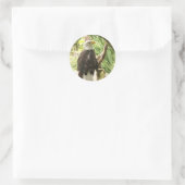 Bald Eagle Ronde Sticker (Tas)