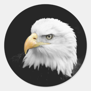 Bald Eagle Ronde Sticker