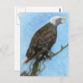 Bald Eagle Screaming in a Tree Briefkaart (Voorkant / Achterkant)