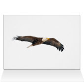 Bald Eagle Sky High (Intérieur Horizontal (Haut))