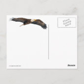 Bald Eagle Sky High Briefkaart (Achterkant)
