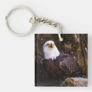 Bald Eagle Sleutelhanger