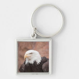 Bald Eagle - Sleutelhanger