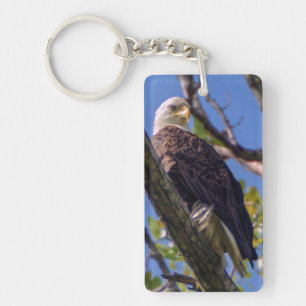 Bald Eagle Sleutelhanger