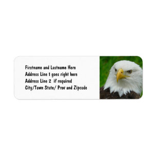 Bald Eagle - Sluit Wild Eagle Foto af Etiket
