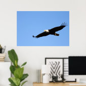 Bald Eagle Soar Poster (Thuiskantoor)