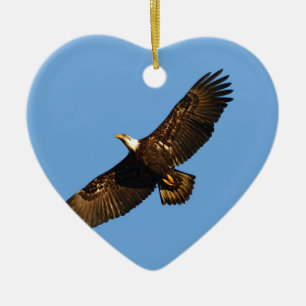 Bald Eagle Soaring 2 Keramisch Ornament