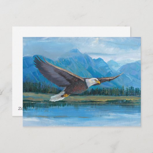 Bald Eagle Soaring Briefkaart (Voorkant / Achterkant)
