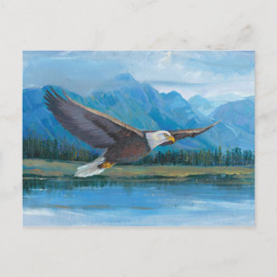 Bald Eagle Soaring Briefkaart