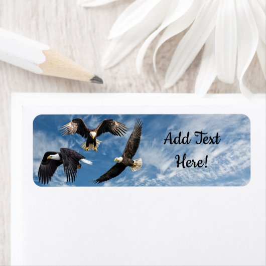 Bald Eagle Soaring Etiket (Insitu)