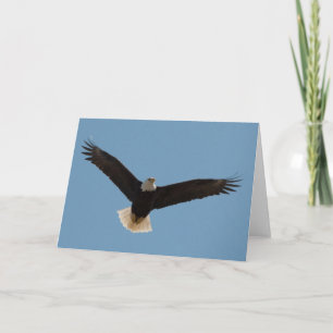 Bald Eagle Soaring-Frameable Art Card Kaart
