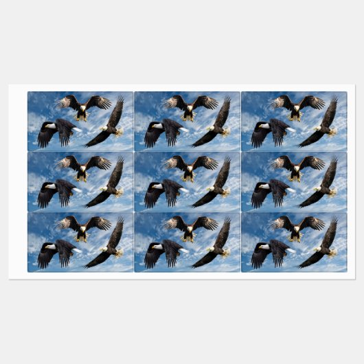 Bald Eagle Soaring Labels (Vel)