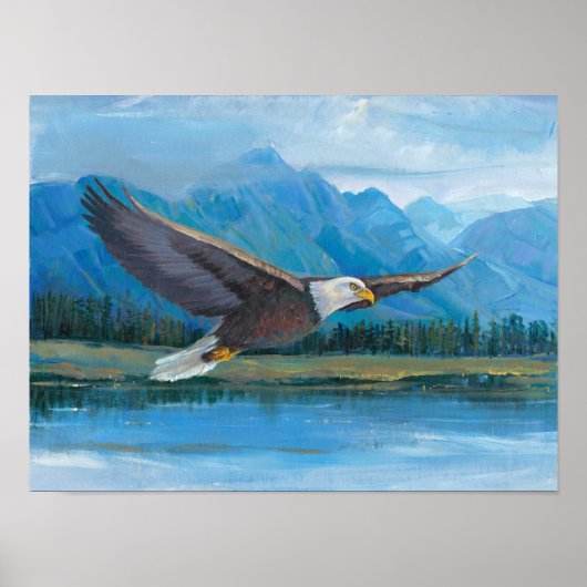 Bald Eagle Soaring Poster (Voorkant)