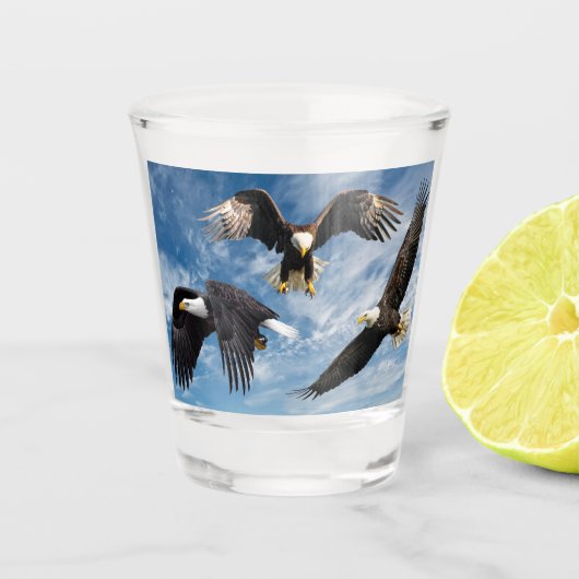 Bald Eagle Soaring Shot Glas (Voorkant)