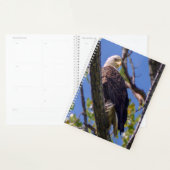 Bald Eagle Spiral hebdomadaire/mensuelle Planner (Devant avec enveloppe)
