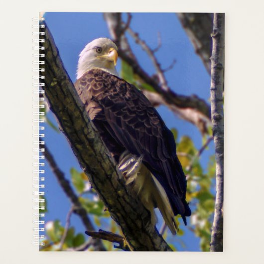 Bald Eagle Spiral Weekly/Maandelijkse Planner (Voorkant)