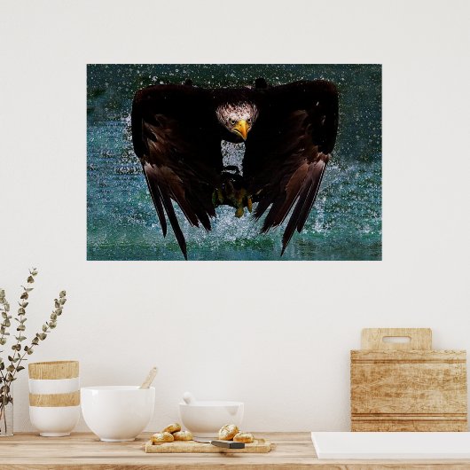 Bald Eagle splash poster (Keuken)