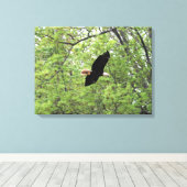 Bald Eagle Spring Flight Canvas Afdruk (Insitu (Houten vloer))