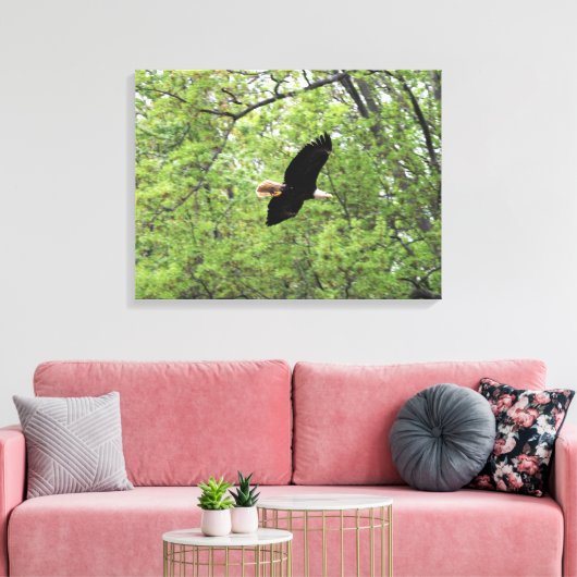 Bald Eagle Spring Flight Canvas Afdruk (Insitu (Woonkamer))