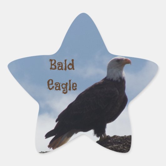 Bald Eagle Star Stickers (Voorkant)