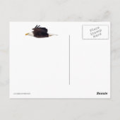 Bald Eagle Staredown Briefkaart (Achterkant)