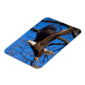 Bald Eagle-start Magneet (Linkerzijde)