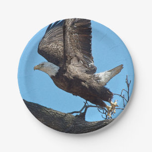Bald Eagle start op Papieren Bordje