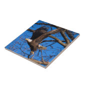 Bald Eagle-start Tegeltje (Zijkant)