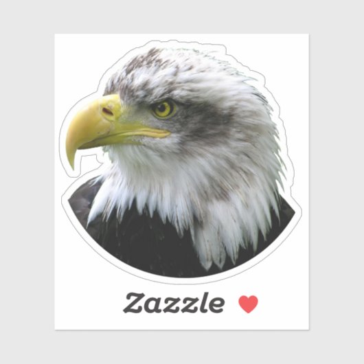 Bald Eagle Sticker (Vel)