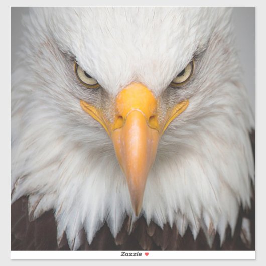 Bald Eagle Sticker (Vel)