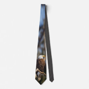 Bald Eagle Stropdas