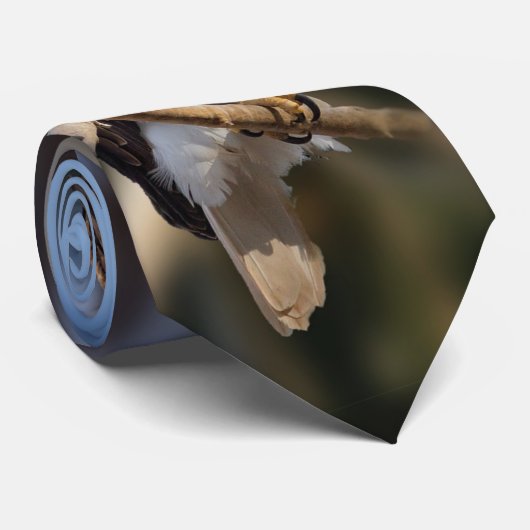 Bald Eagle Stropdas (Opgerold)