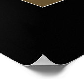 Bald Eagle & Sunlight Poster (Hoek)