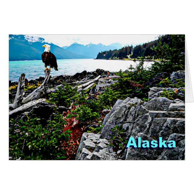 Bald Eagle Sur La Côte De L'Alaska (Devant horizontal)