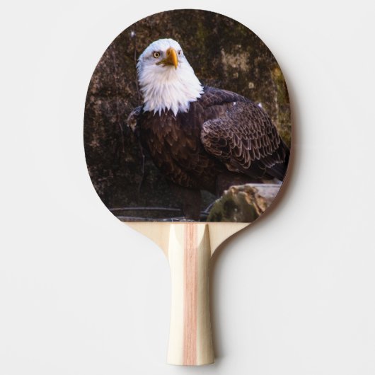 Bald Eagle Tafeltennisbatje (Voorkant)