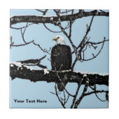 Bald Eagle Tegeltje (Voorkant)
