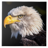Bald Eagle Tegeltje (Voorkant)