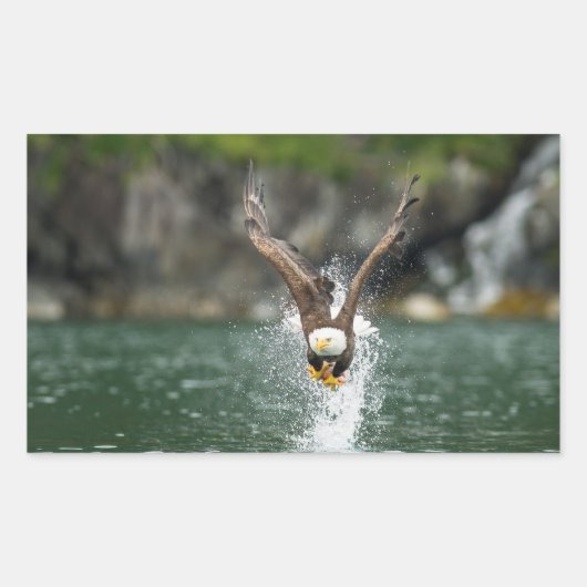 Bald Eagle The Big Catch Rechthoekige Sticker (Voorkant)