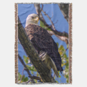 Bald Eagle Throw Blanket Deken