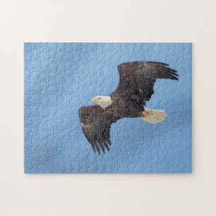 Bald Eagle tijdens de vlucht Legpuzzel