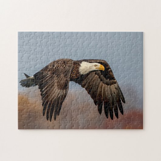 Bald Eagle tijdens de vlucht Legpuzzel (Horizontaal)