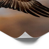 Bald Eagle tijdens de vlucht Poster (Hoek)