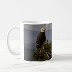 Bald Eagle Treetop - Mok