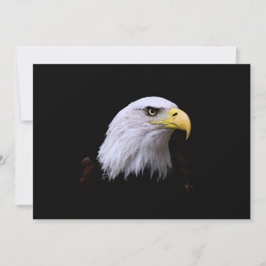 Bald Eagle-uitnodiging Kaart (Voorkant)