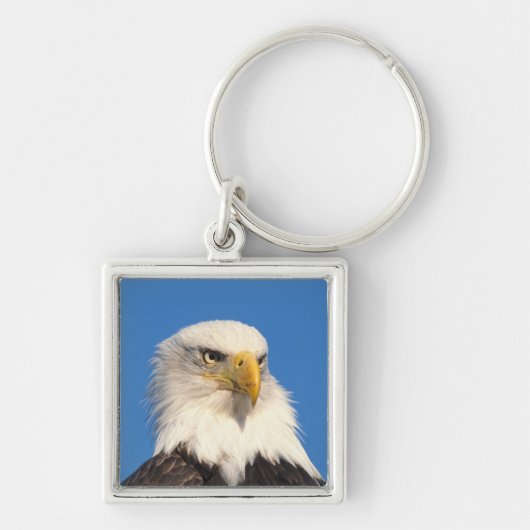 Bald Eagle uitzicht Sleutelhanger (Voorkant)