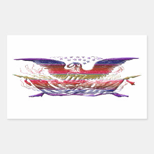 Bald Eagle USA Flag Americana Patriotic Art Rechthoekige Sticker