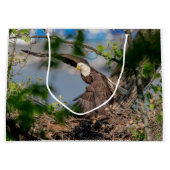 Bald Eagle verlaat het nest Groot Cadeauzakje (Voorkant)