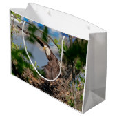 Bald Eagle verlaat het nest Groot Cadeauzakje (Achterkant Gekanteld)