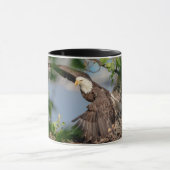 Bald Eagle verlaat het nest Mok (Midden)