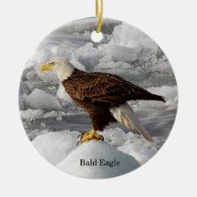 Bald Eagle-versiering